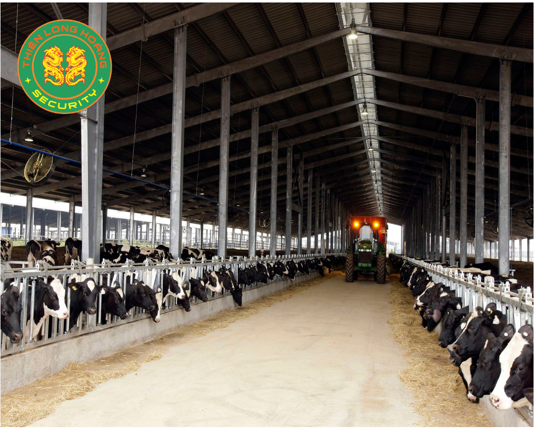 Dịch Vụ Bảo Vệ Trang Trại Của Thiên Long Hoàng