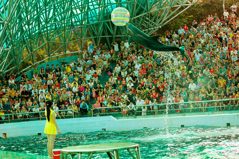 Khu Vui Chơi Đông Đúc